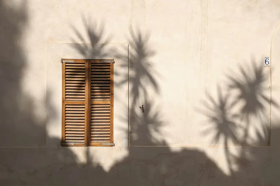 Timber shutter set in a plaster wall, with palm shadows