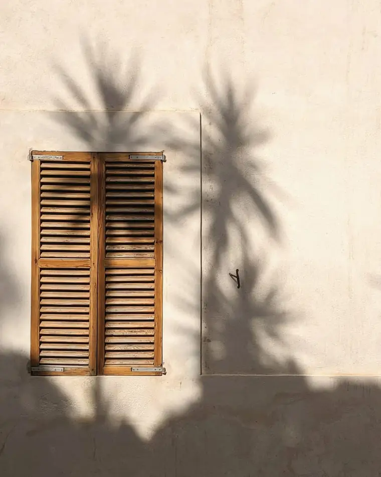 Timber shutter set in a plaster wall, with palm shadows