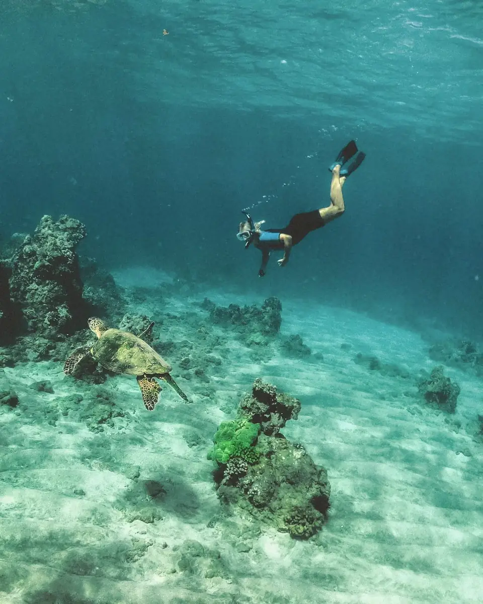 Snorkeler floating above coral in clear, shallow turquoise water