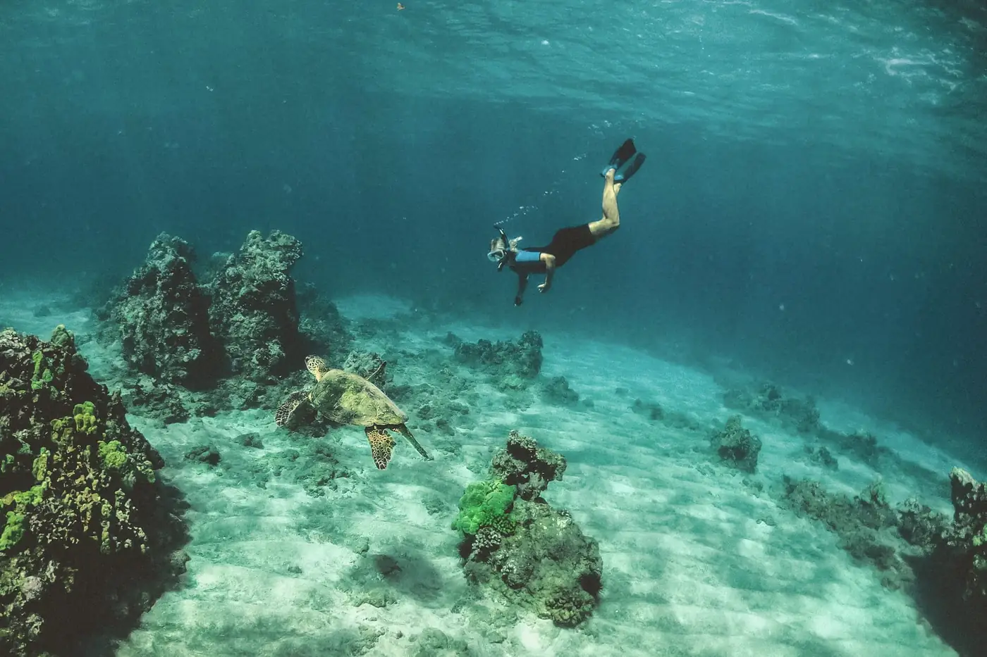 Snorkeler floating above coral in clear, shallow turquoise water